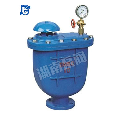 CARX复合式排气阀